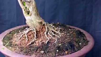 청원구출장안마 -후불100%ョØ1ØS2671S8135｛카톡LA369｝ 청원구전지역출장안마 청원구오피걸 청원구출장마사지 청원구안마 청원구출장마사지 청원구콜걸샵◑