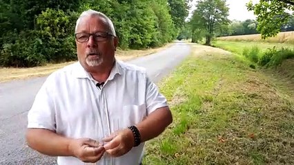 Streinbruckweg : une route qui n'existe pas rénovée entre Guntzviller et Arzviller