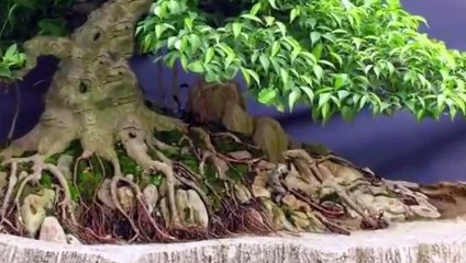 안성출장안마 -후불100%ョØ1ØS2671S8135｛카톡LA369｝ 안성전지역출장안마 안성오피걸 안성출장마사지 안성안마 안성출장마사지 안성콜걸샵オカガ