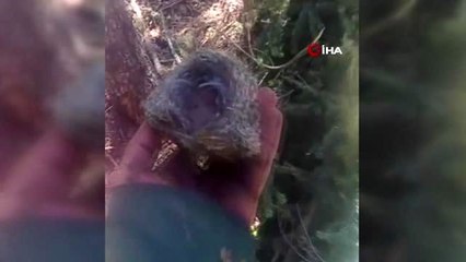 Orman işçilerinden duyarlı davranış