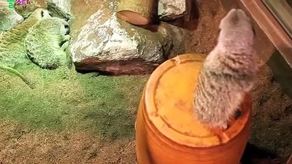 용산출장아로마≑용산출장안마 -후불100%ョØ1ØE7362E3210｛카톡RQ43｝ 용산전지역출장안마 용산오피걸 용산출장마사지 용산안마 용산출장마사지 용산콜걸샵ノハバ