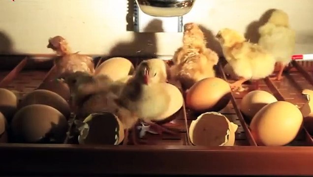 나주출장안마 -후불100%ョØ1ØA7685A6221｛카톡MGM1472｝ 나주전지역출장안마 나주오피걸 나주출장마사지 나주안마 나주출장마사지 나주콜걸샵ヨラリ