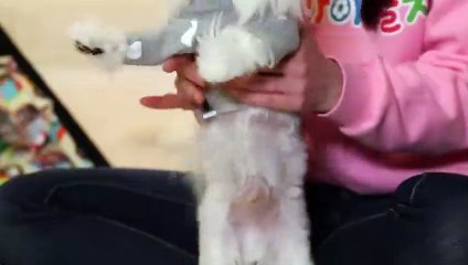 사상출장안마 -후불100%ョØ1ØA7685A6221｛카톡MGM1472｝ 사상전지역출장안마 사상오피걸 사상출장마사지 사상안마 사상출장마사지 사상콜걸샵ЪЫЬ