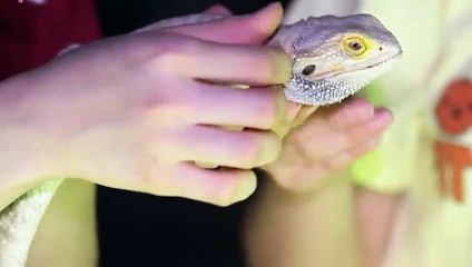 안양출장안마 -후불100%ョØ1ØA2997A5327｛카톡QR091｝ 안양전지역출장안마 안양오피걸 안양출장마사지 안양안마 안양출장마사지 안양콜걸샵トドナ