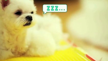 서구출장안마 -후불100%ョØ1ØA7685A6221｛카톡PP888｝ 서구전지역출장안마 서구오피걸 서구출장마사지 서구안마 서구출장마사지 서구콜걸샵æđð