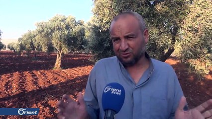 خسائر فادحة بالمحاصيل الزاعية في سهل الغاب شمال حماة