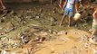 HUGE CATFISH FISHING FOR FOOD IN MUD WATER with BAREHAND FISHING