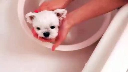 익산출장안마 -후불100%ョØ7ØS7301S9649｛카톡ZF66｝ 익산전지역출장안마 익산오피걸 익산출장마사지 익산안마 익산출장마사지 익산콜걸샵‡♭