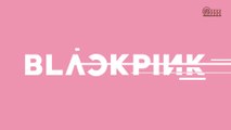 [VIETSUB] BLACKPINK - 'BLACKPINK DIARIES' EP.11