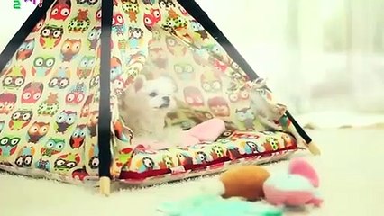 사상출장아로마≑사상출장안마 -후불100%ョØ7ØS7301S9649｛카톡ZF66｝ 사상전지역출장안마 사상오피걸 사상출장마사지 사상안마 사상출장마사지 사상콜걸샵ЧШЩ