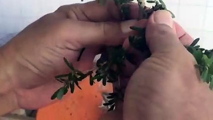 순천출장안마 -후불100%ョØ7ØS7301S9649｛카톡LA666｝ 순천전지역출장안마 순천오피걸 순천출장마사지 순천안마 순천출장마사지 순천콜걸샵ЕЁЖ