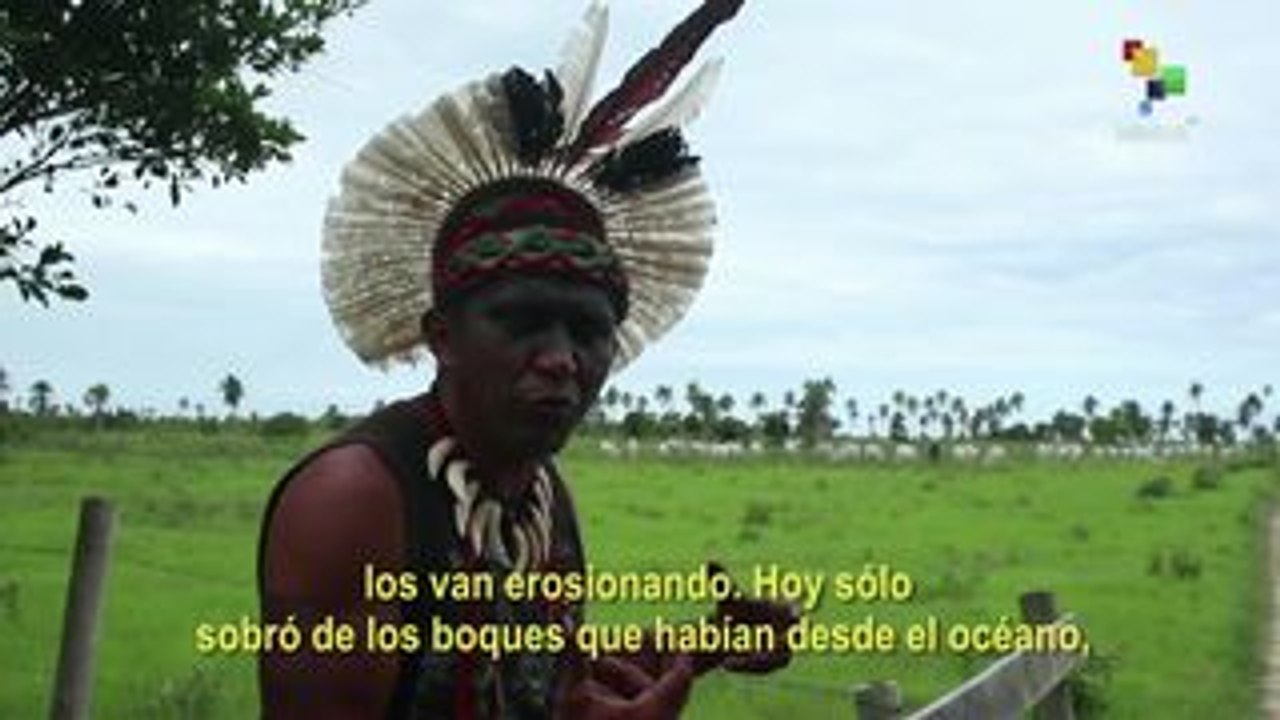 Reportajes teleSUR: Pataxó, Donde nació la resi...