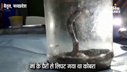 अस्पताल में सांप देखकर सहमे लोग