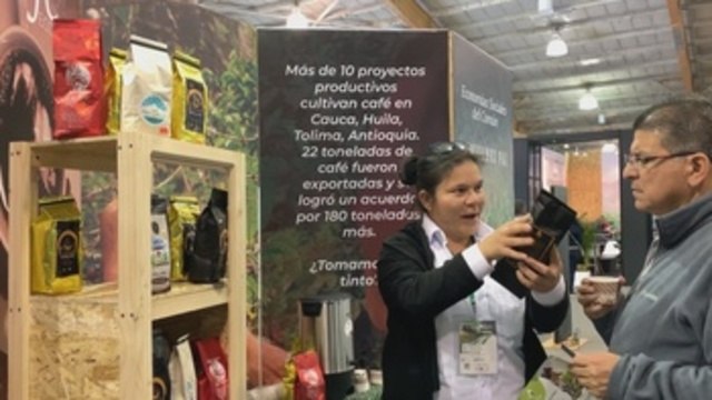 Exguerrilleros de las FARC siembran café para cosechar la paz