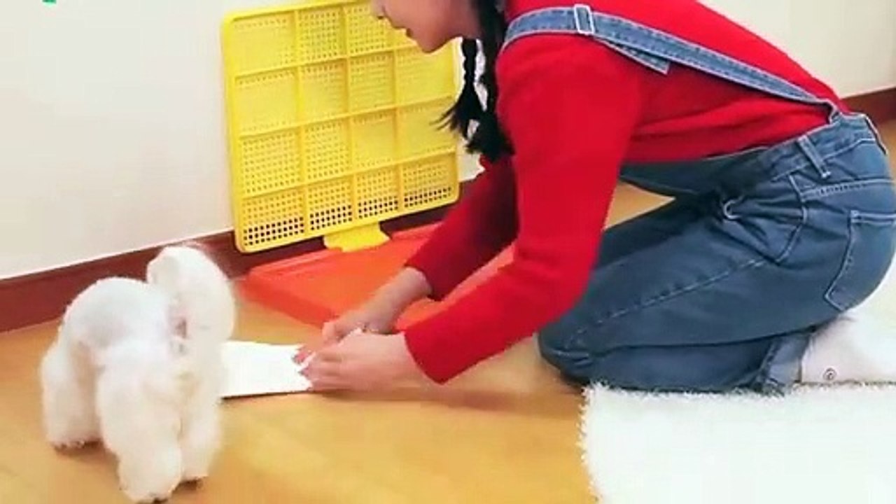 고령출장안마 -후불100%ョØ1ØS2671S8135｛카톡LA369｝ 고령전지역출장안마 고령오피걸 고령출장마사지 고령안마 고령출장마사지 고령콜걸샵ゼソゾ