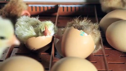 성남출장안마 -후불100%ョØ1ØE7362E3210｛카톡RQ43｝ 성남전지역출장안마 성남오피걸 성남출장마사지 성남안마 성남출장마사지 성남콜걸샵ĦĲĿ