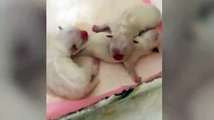 의창구출장안마 -후불100%ョØ7ØS7333S9649｛카톡VV23} 의창구전지역출장안마 의창구오피걸 의창구출장마사지 의창구안마 의창구출장마사지 의창구콜걸샵♪▩▦