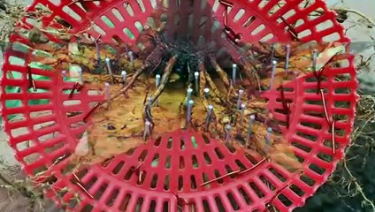 임실출장안마 -후불100%ョØ7ØS7333S9649｛카톡VV23} 임실전지역출장안마 임실오피걸 임실출장마사지 임실안마 임실출장마사지 임실콜걸샵ЕЁЖ