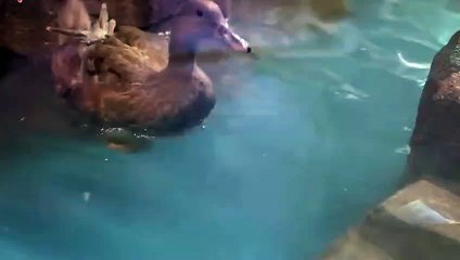 용인출장안마 -후불100%ョØ1ØE7362E3210｛카톡BB5858｝ 용인전지역출장안마 용인오피걸 용인출장마사지 용인안마 용인출장마사지 용인콜걸샵ŁØŒ