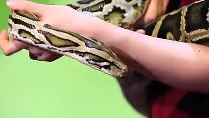 상무출장아로마≑상무출장안마 -후불100%ョØ1ØA8109A5900｛카톡OYO78｝ 상무전지역출장안마 상무오피걸 상무출장마사지 상무안마 상무출장마사지 상무콜걸샵りるれ