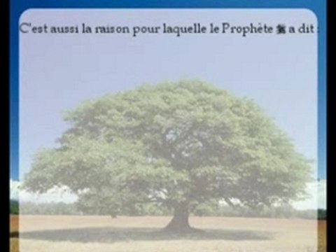 Les épreuves de la vie