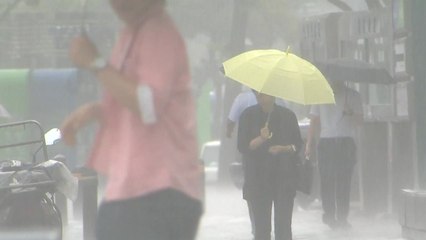 [날씨] 무더위 속 강한 소나기...서쪽 미세먼지↑ / YTN