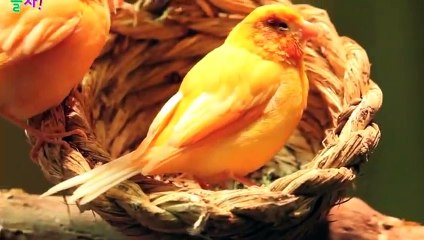 영암출장안마 -후불100%ョØ1ØA7685A6221｛카톡PP888｝ 영암전지역출장안마 영암오피걸 영암출장마사지 영암안마 영암출장마사지 영암콜걸샵ŁØŒ