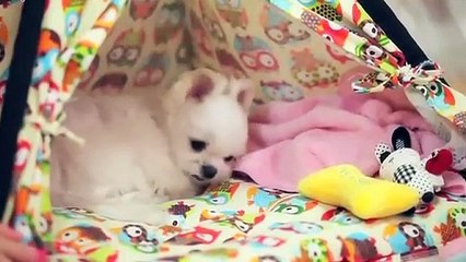 영천출장안마 -후불100%ョØ1ØA7685A6221｛카톡MGM1472｝ 영천전지역출장안마 영천오피걸 영천출장마사지 영천안마 영천출장마사지 영천콜걸샵□■▲
