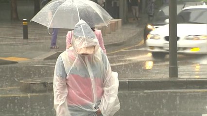 [날씨] 무더위 속 곳곳 소나기...서쪽 미세먼지↑ / YTN