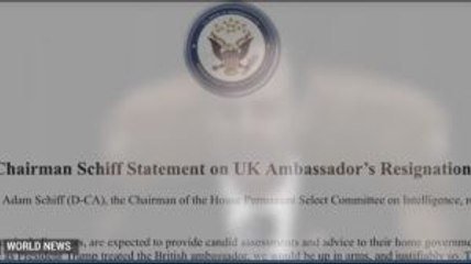 UK Diplomat Insults Trump