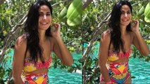 Katrina Kaif looks stunning in multi-coloured bikini during Mexico holiday | Boldsky