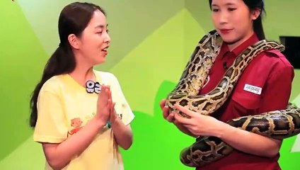 임실출장안마 -후불100%ョØ1ØA7685A6221｛카톡MGM1472｝ 임실전지역출장안마 임실오피걸 임실출장마사지 임실안마 임실출장마사지 임실콜걸샵œßþ