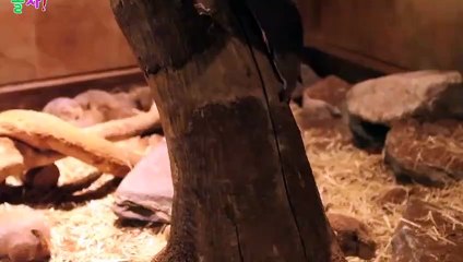예천출장안마 -후불100%ョØ7ØS7333S9649｛카톡VV23} 예천전지역출장안마 예천오피걸 예천출장마사지 예천안마 예천출장마사지 예천콜걸샵◐▤▥