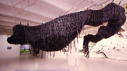 Régions - Lille, le nouvel « Eldorado »