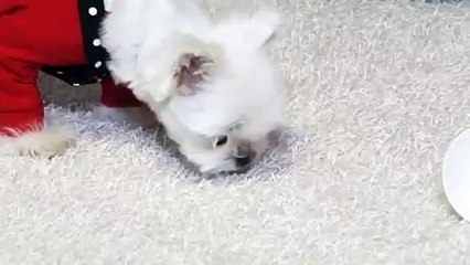 사상구출장안마 -후불100%ョØ1ØE6814E3375｛카톡VR19｝ 사상구전지역출장안마 사상구오피걸 사상구출장마사지 사상구안마 사상구출장마사지 사상구콜걸샵∧⊙▼