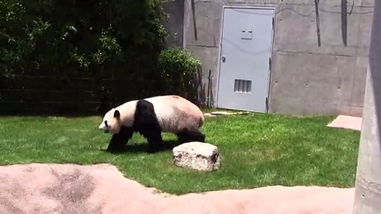 おなかがすいた、食べたいクマ