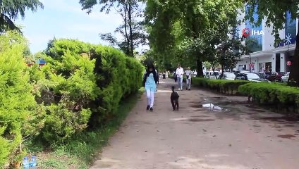 Her gün aç geziyordu nedeni ise şaşırttı... Biriktirdiği harçlıkları sokak hayvanları için harcıyormuş