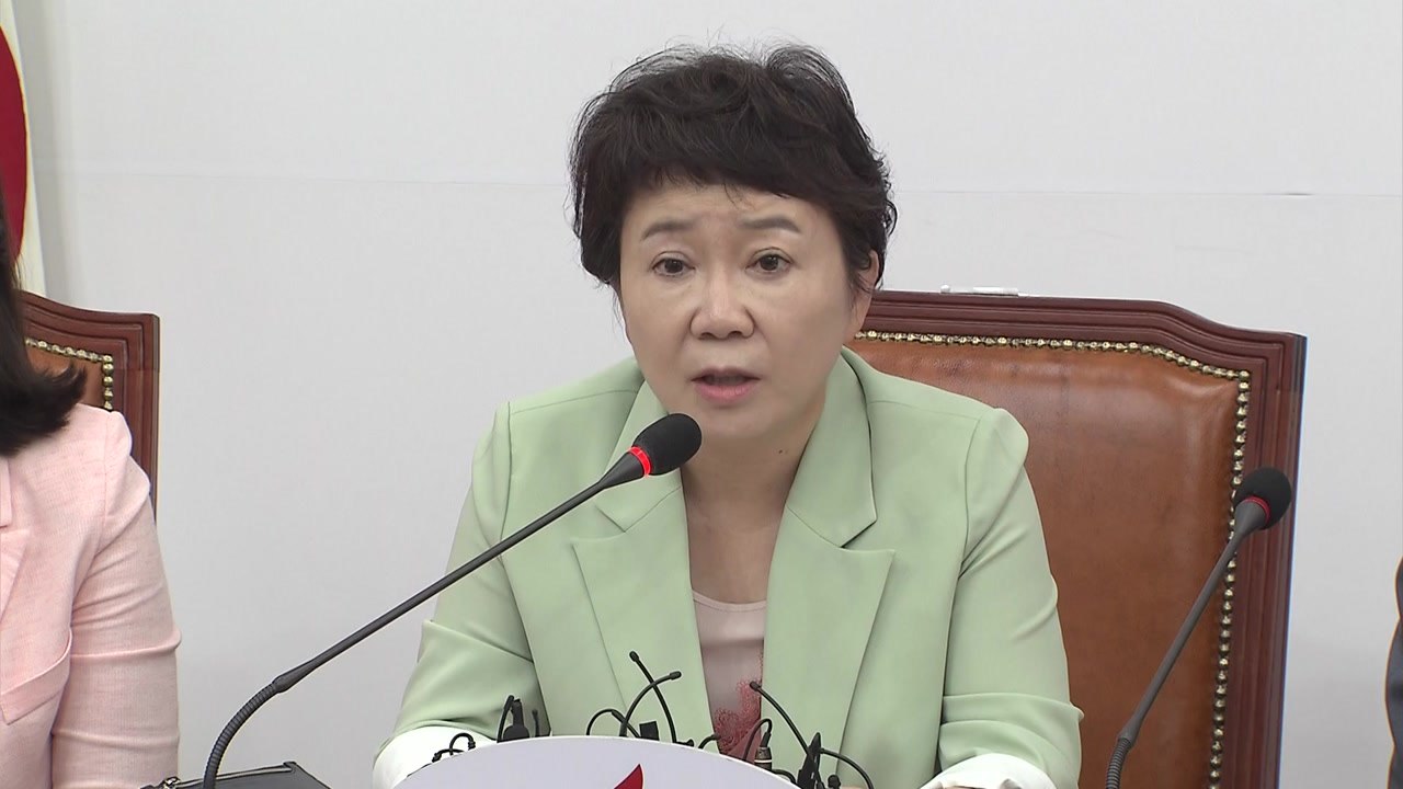 한국당 또 막말 논란...정미경, "문 대통령, 세월호 한 척으로 이겨" / YTN