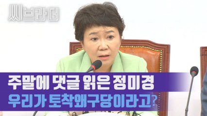 ‘문 대통령 세월호 한 척으로 이겨’ 자유한국당 정미경 위원이 읽은 댓글 [C브라더]