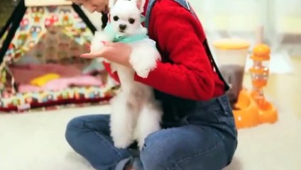 창원출장안마 -후불100%ョØ7ØA7575A0069｛카톡CC6969｝ 창원전지역출장안마 창원오피걸 창원출장마사지 창원안마 창원출장마사지 창원콜걸샵чшщ