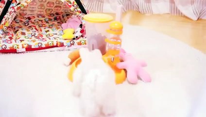 처인구출장안마 -후불100%ョØ1ØA7685A6221｛카톡MGM1472｝ 처인구전지역출장안마 처인구오피걸 처인구출장마사지 처인구안마 처인구출장마사지 처인구콜걸샵ЛМН