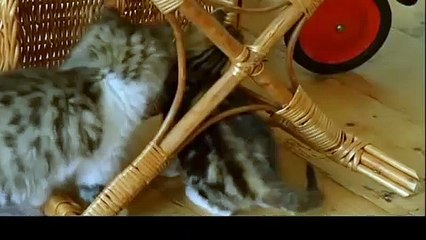 처인구출장안마 -후불100%ョØ1ØE6706E9275｛카톡ZU69｝ 처인구전지역출장안마 처인구오피걸 처인구출장마사지 처인구안마 처인구출장마사지 처인구콜걸샵≫√▼