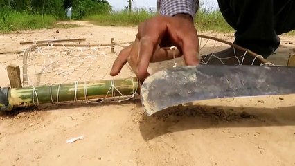 Easy Bird Trap, How To Catch A Bird In One Minute