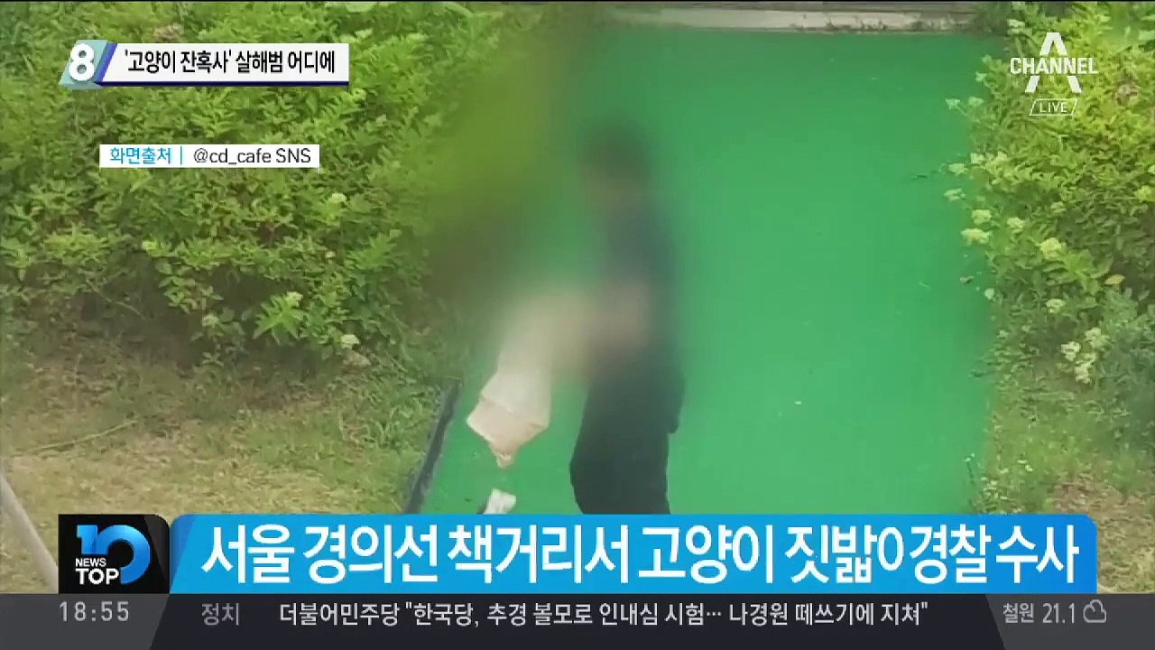 ‘고양이 잔혹사’ 살해범 어디에