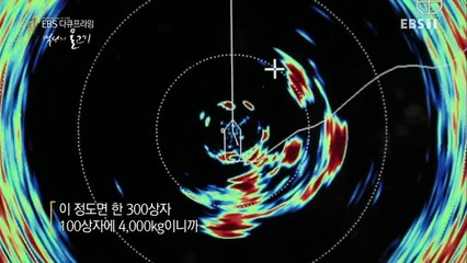 EBS 다큐프라임 - Docuprime_백성의 물고기 (행복한 비린내, 고등어)_#001
