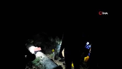 Kestiği ağaç sonu oldu