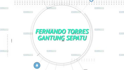 Fernando Torres Gantung Sepatu