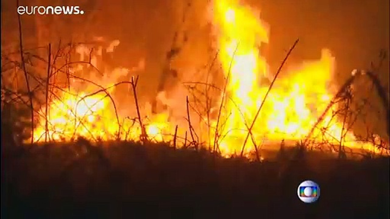 Varios estados de Brasil solicitan ayuda militar para combatir los incendios en el Amazonas