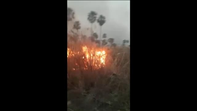 Los incendios en el Amazonas se extienden a Bolivia