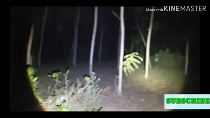 penampakan kuntilanak(ghost)